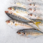 TODAY'S FRESH CATCH